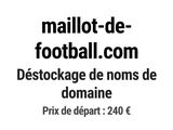 Photo 1/1 du lot