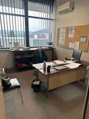 un chat assis sur un bureau dans un bureau