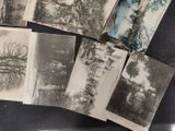 several old black and white photographs of trees and water on a table