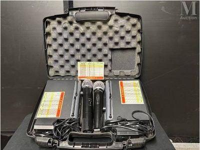 deux microphones posés dans un étui sur une table
