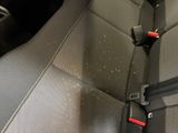 a seat belt that is attached to the back of a car