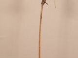 une sculpture représentant un squelette assis sur une plante