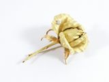 une rose dorée posée sur un fond blanc