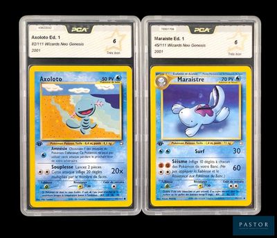 deux cartes Pokémon présentant des motifs différents sur un fond noir