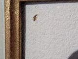 a picture of a shadow of a person in a picture frame