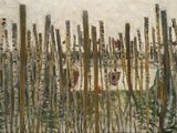 un tableau représentant un bateau sur l'eau, avec des arbres en arrière-plan