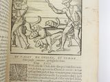 an open book with a picture of a man and a dog