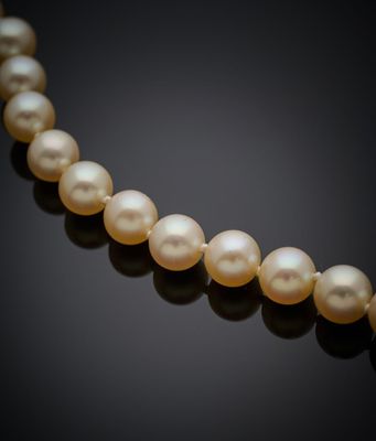 un collier de perles de culture sur fond noir