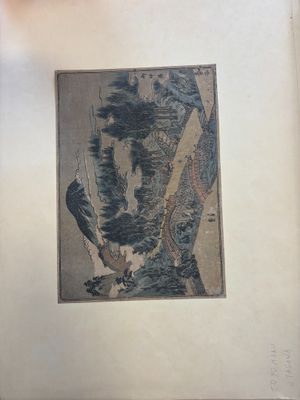 une photo d'une photo représentant un oiseau perché sur une branche