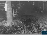an old black and white photo of a man laying on the ground next to a tree