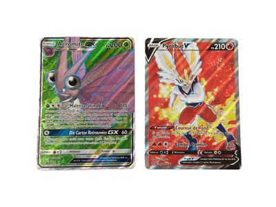 deux cartes Pokémon présentant des motifs différents sur un fond blanc