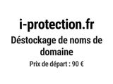 Photo 1/1 du lot