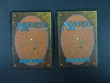 two decks of magic the gathering deck protectors