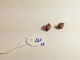 a tag that says 24 4 er next to a pair of earrings