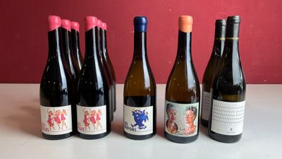 six bouteilles de vin sont alignées sur une table