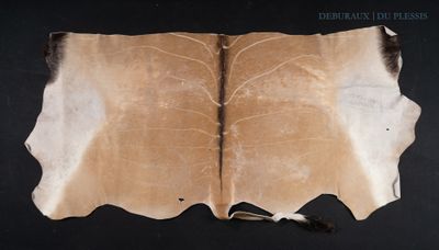 an image of a piece of cow hide on a black surface