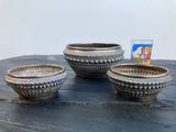 trois bols posés sur une table, contenant des brosses à dents