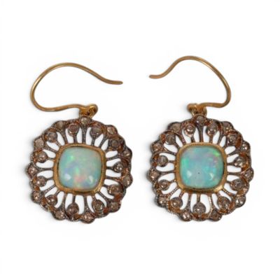 une image représentant une paire de boucles d'oreilles « oplite » sur fond blanc