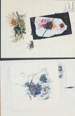 four different pictures of insects on a piece of paper