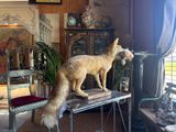 a fake fox standing on top of a table in a living room