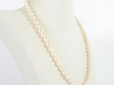 pearl necklace on a mannequin display with a white background