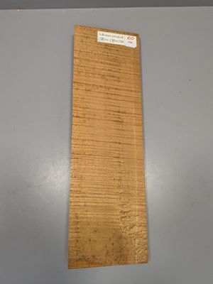 Fond en érable pour violon, ~45,5cm