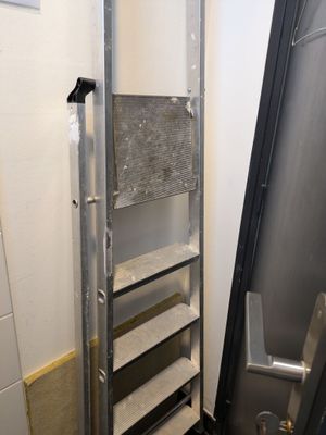 une échelle située à côté des toilettes dans une salle de bains