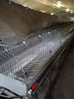 une photo d'un tapis roulant à l'intérieur d'un bâtiment