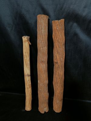 Lot de trois écorces remplies de terre - Photo 1