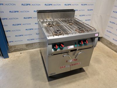 une photo d'un barbecue à gaz professionnel à deux brûleurs
