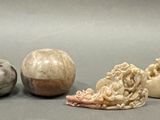 a lot of shells that are sitting on a table