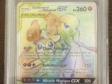 gros plan d'une carte pokemon dans un étui en plastique