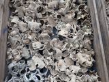 une boîte en bois remplie d'une multitude de crânes de toutes sortes