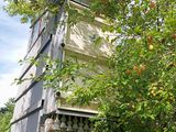 un pommier devant une maison, avec un moulin à vent en arrière-plan