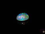 an oplite in the dark with a black background