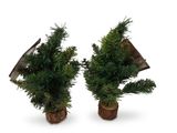 deux petits sapins de Noël posés sur des souches en bois, sur fond blanc