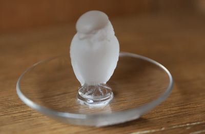 un petit oiseau blanc perché sur une assiette en verre