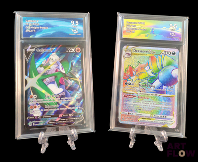 deux types différents de cartes Pokémon exposées
