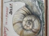 a picture of a picture of a snail with a leaf on it