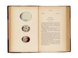 un livre ouvert sur lequel figure une illustration représentant des œufs et des coquilles d'œufs
