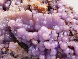 a close up of a purple substance on a white plate