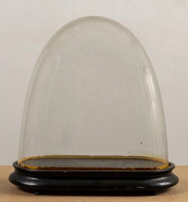 un gros plan sur une cloche en verre posée sur une table en bois