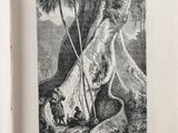 a picture of a book with a picture of a man on a tree