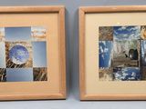 deux photos encadrées représentant un ours et son ourson