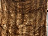 une couverture marron posée par terre près d'un arbre