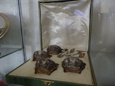 trois tortues exposées dans une vitrine