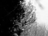 Photo 32/35 du lot