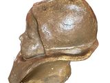 statue of a man ' s head wearing a hat on a white background