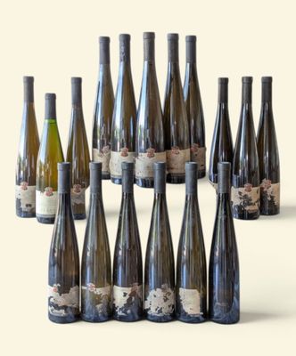 several bottles of wine are arranged in a circle on a white surface