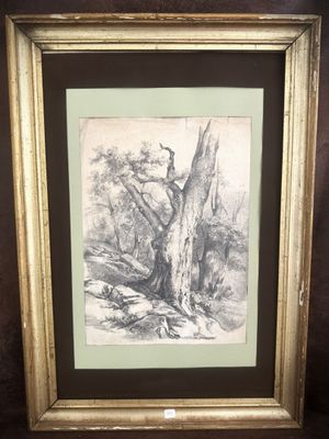 a framed drawing of a tree in a wooded area